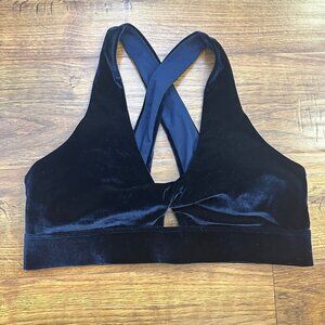 Fabletics velvet sports Bra